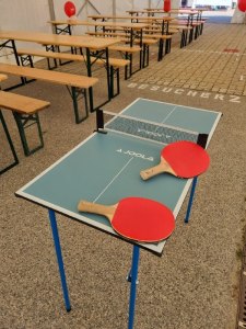 mini_ping_pong