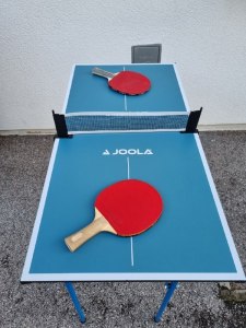 mini_ping_pong_verleih