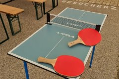 mini_ping_pong