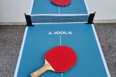 mini_ping_pong_verleih