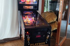 playboy_flipper2