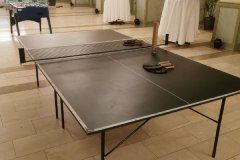 tischtennistisch