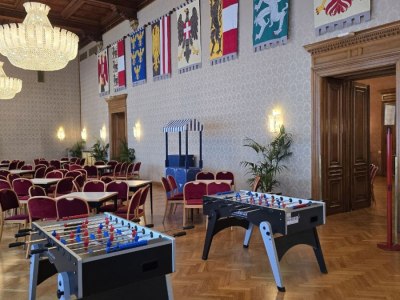 wiener_rathaus_wuzzler